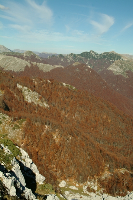 Escursione nel P.N. d''Abruzzo